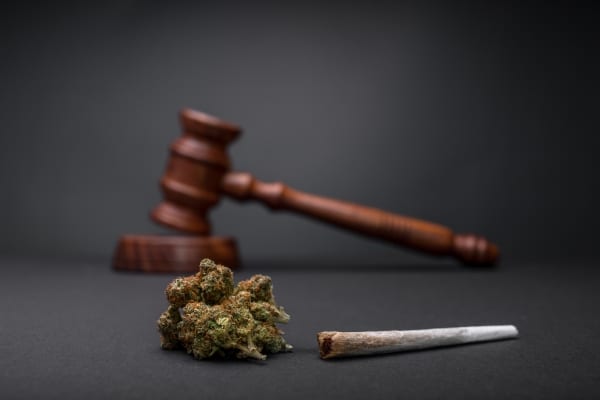 Cannabis: eliminación vigente de antecedentes penales
