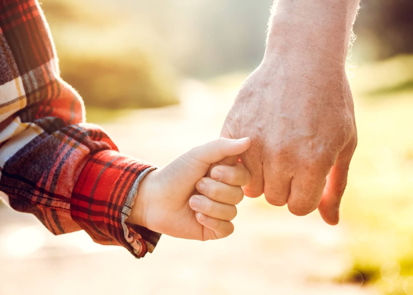 custodia-de-menor-por-su-abuelo